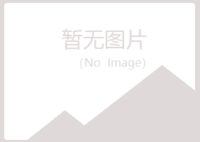 嘉禾县晓夏采矿有限公司